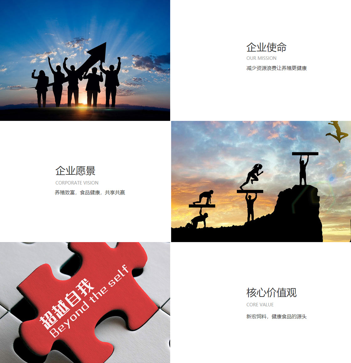 企业愿景(图1)